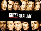 Greys anatomi 