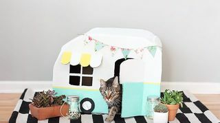 di kartong katt hus kitty camper