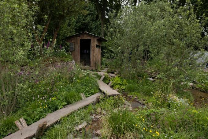 en rewilding britisk landskap rhs chelsea flower show