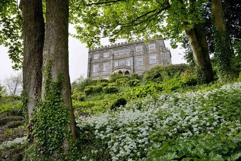 Newark Park og vill hvitløk © National Trust Images Andrew Butler