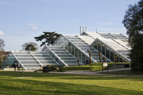 Prinsessen av Wales konservatorium ved Kew Gardens