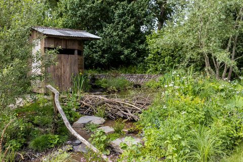 chelsea flower show best show garden 2022 en rewilding britain's landscape garden