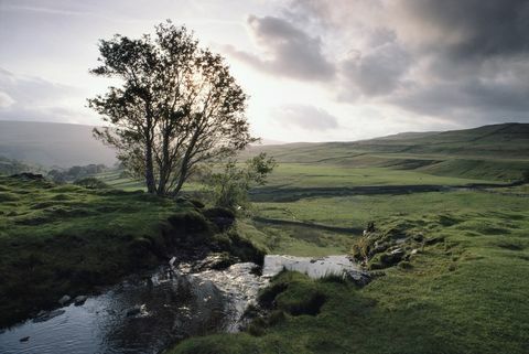 yorkshire dale