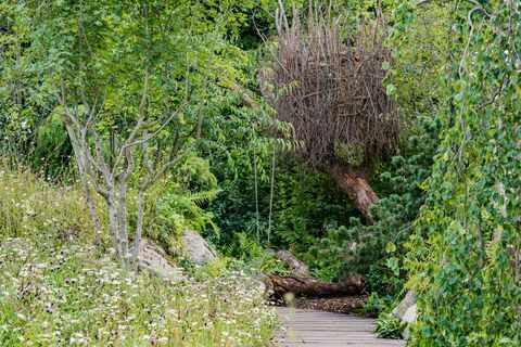 Kate Middleton Tilbake til Nature garden