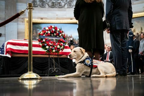 President George H.W. Bush ligger i staten på den amerikanske hovedstaden