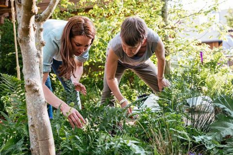 Kate Middleton Tilbake til Nature Chelsea Flower Show garden 2019