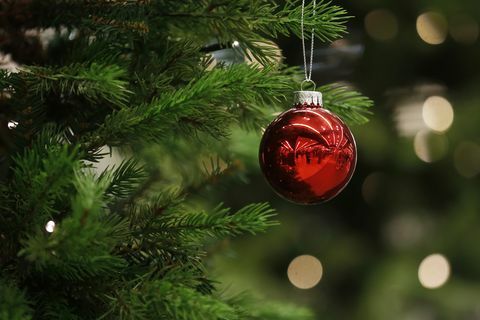 En julegransking henger fra et tre