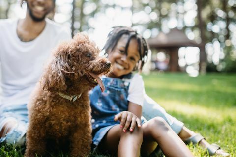 familie leker i parken med hund