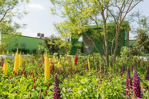 Catherine MacDonald garden - Chelsea Flower Show 2018