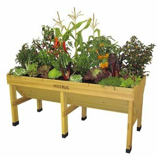 VegTrug hevet planter