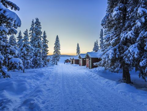 The Ice Hotel Lapplands foto