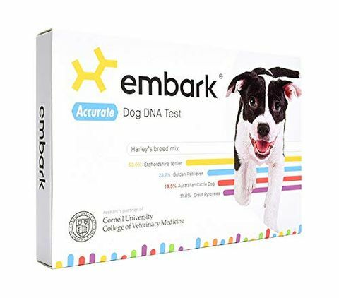 Det er lynnedslag på Embark Dog DNA Kit for Amazon Prime Day