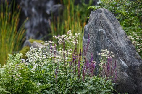 bodmin jail 60° east – en hage mellom kontinenter designet av ekaterina zasukhina med carly kershaw sponset av bodmin jail og bodmin jail hotel show garden rhs chelsea flower show 2021 stand no 1