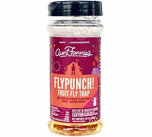 FlyPunch Ikke-giftig fruktfluefelle