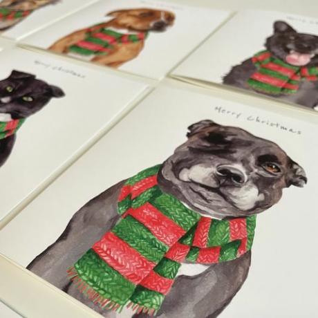 streetvet lanserer julekort for å støtte hjemløshet hos kjæledyr