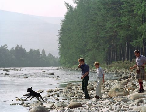 Charles, William, Harry And Dog