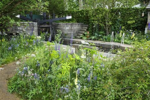 Velkommen til Yorkshire Chelsea Flower Show garden 2019 Mark Gregory