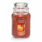 Yankee Candle Spiced Pumpkin Candle