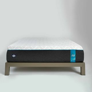 Queen Sealy to Go 12" Memory Foam Madrass