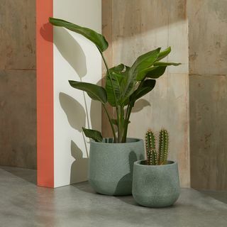 Colleta Fiber Cement Splatter Effektplanters, sett med 2