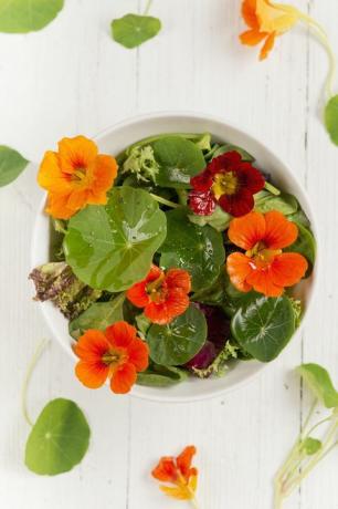 en fargerik salat med vannkarseblomster og blader