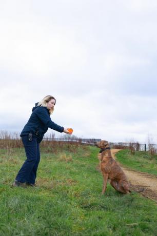 kobber redningshundtrening