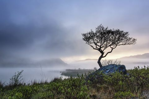 Håndbokvinner, George Evans, Llyn Dinas, Craflwyn og Beddgelert