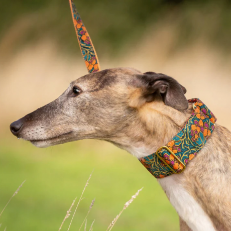 Acanthus Dream Buckle Collar