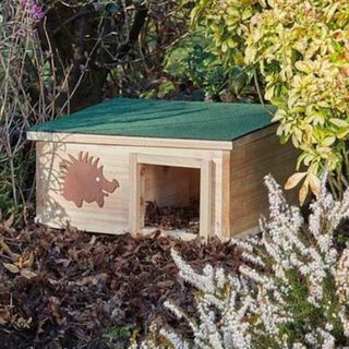 Hedgehog House