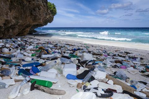 plastavfall på stranden