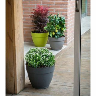 Ninfea Water Reservoir Planters