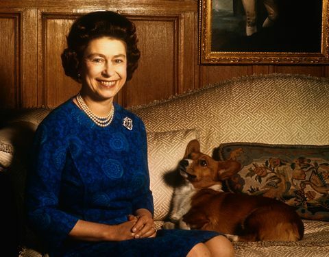 Meghan Markles hund rir med dronningen Elizabeth til Windsor