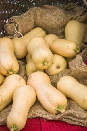 en kurv holder fersk butternut squash på et torskebøndermarked