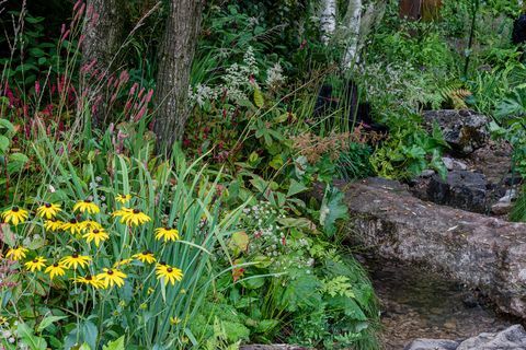 the yeo valley organic garden designet av tom massey, støttet av sarah mead sponset av yeo valley organic show garden rhs chelsea flower show 2021 stand nr 323