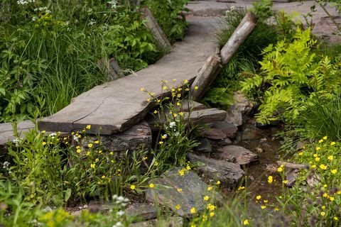 chelsea flower show best show garden 2022 en rewilding britain's landscape garden