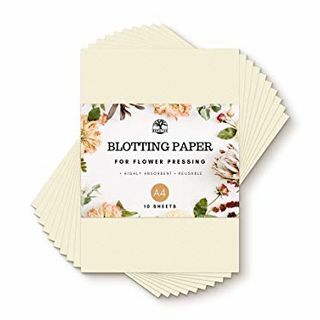 Blotting Paper 