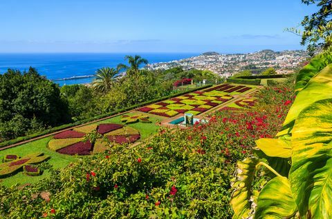 Monte tropiske hager i Funchal by, øya Madeira, Portugal