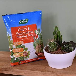 CactiSukkulent pottekompost