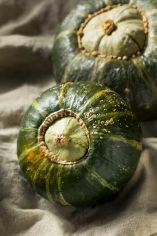 rå økologisk buttercup squash klar til å kutte