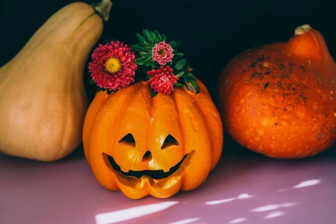 halloween skummelt gresskar med blomster på toppen