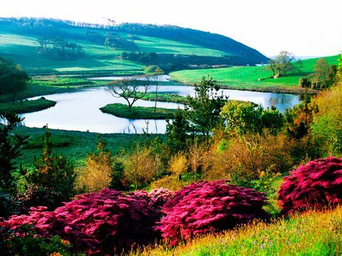 Caerhays Castle Gardens