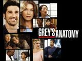 Greys anatomi